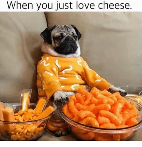 Funny Cheese Memes  When You Love Cheese