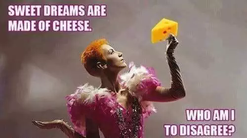 Funny Cheese Memes  Don'T Disagree