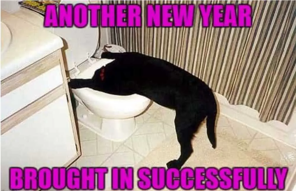 New Year Memes 6