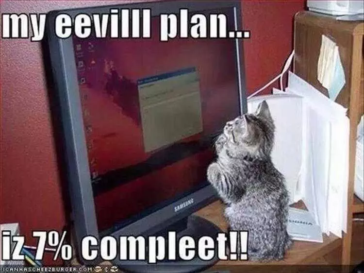 Funny Cat Meme Pictures  Evil Plan