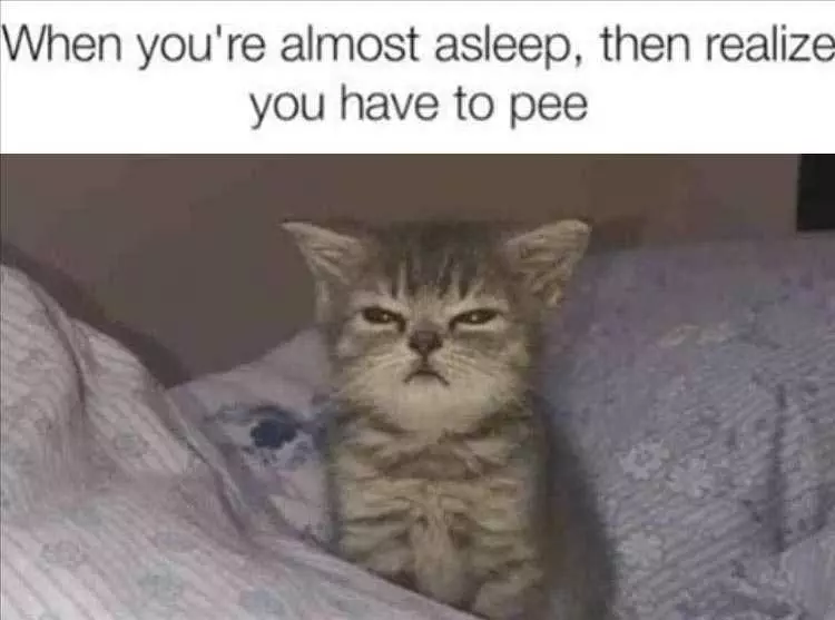Funny Pictures With Captions  Have To Pee