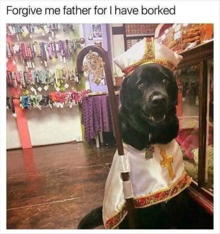 Lol Dog Memes  The Pope