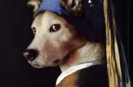 Dog Without The Pearl Earring