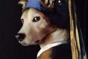 Dog Without The Pearl Earring