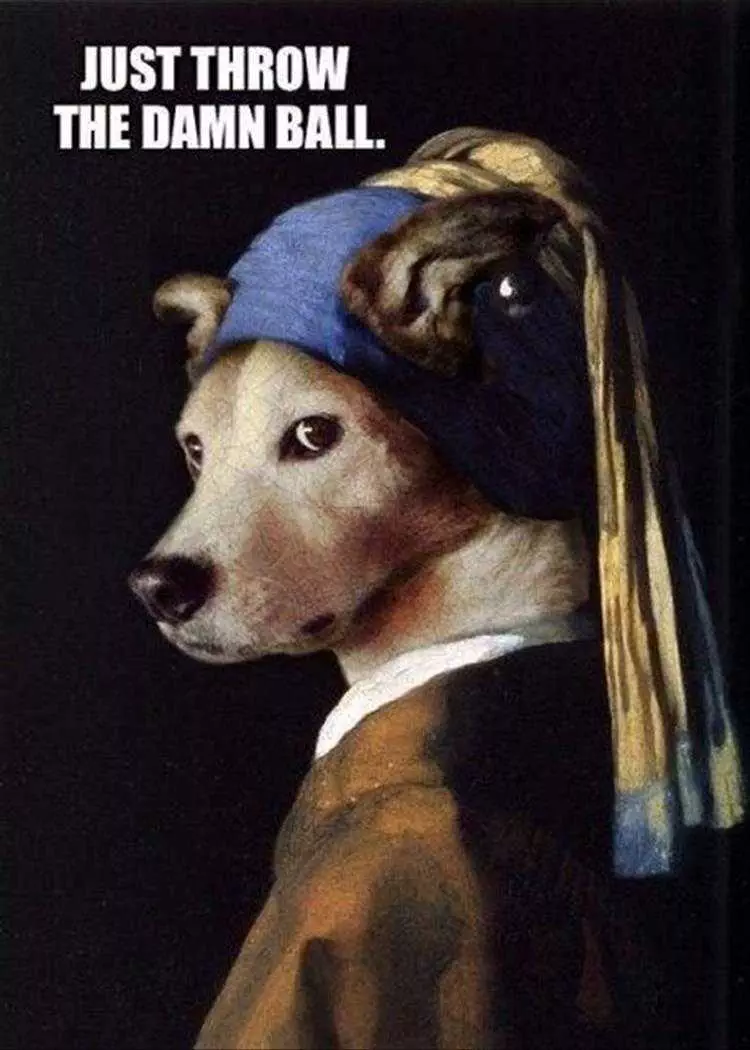 Hilarious Dog Meme  Dog With No Pearl Earring