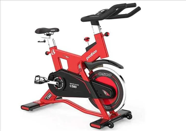 Cool Christmas Gift Ideas  Pooboo Stationary Bike