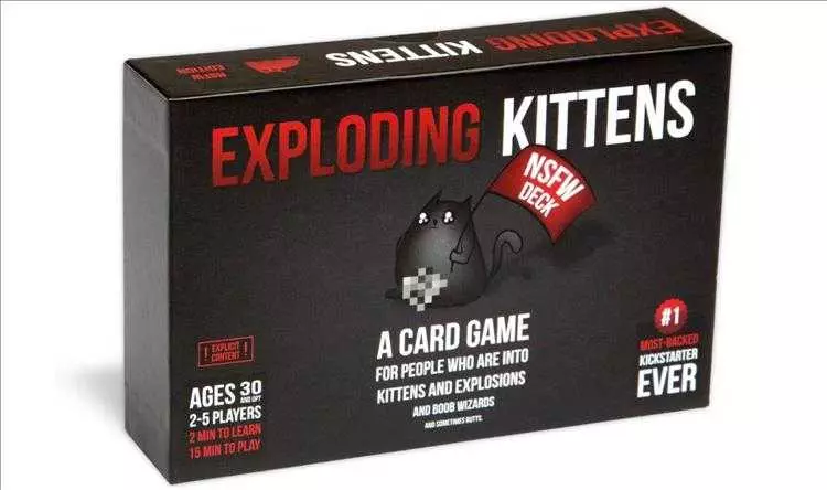 Funny Christmas Gift Idea  Exploding Kittens Card Game