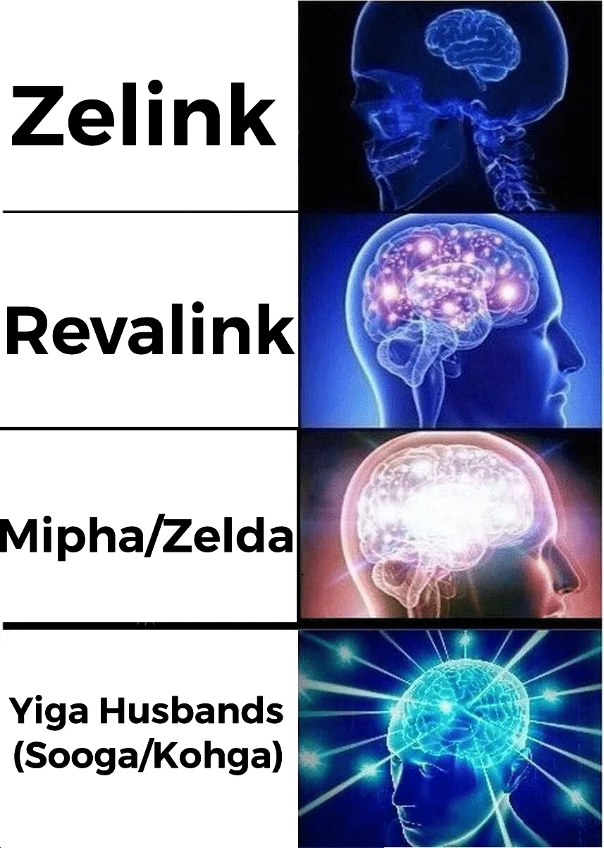 Zelda Memes  Brains