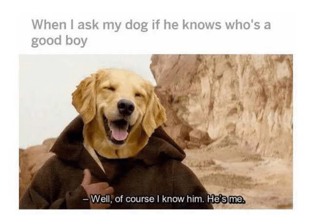 Wholesome Memes  Good Boy
