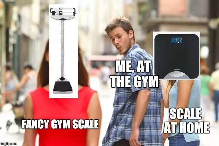 Funny Gym Memes  Scale Envy