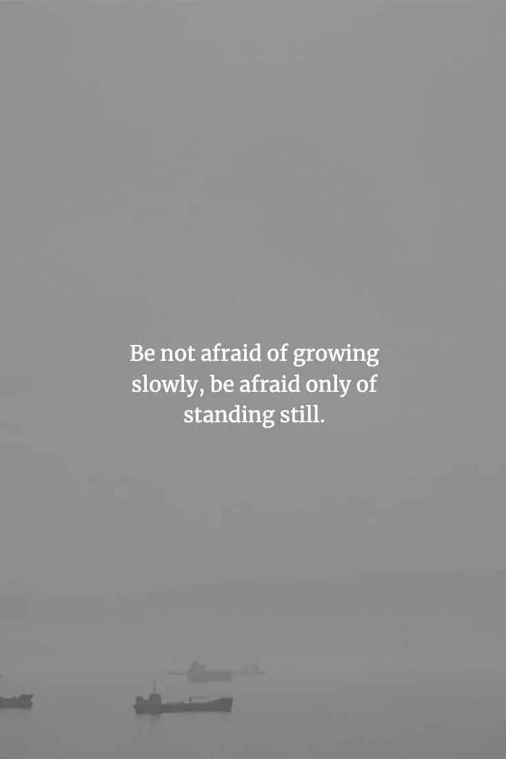 Chinese Proverb  Always Grow