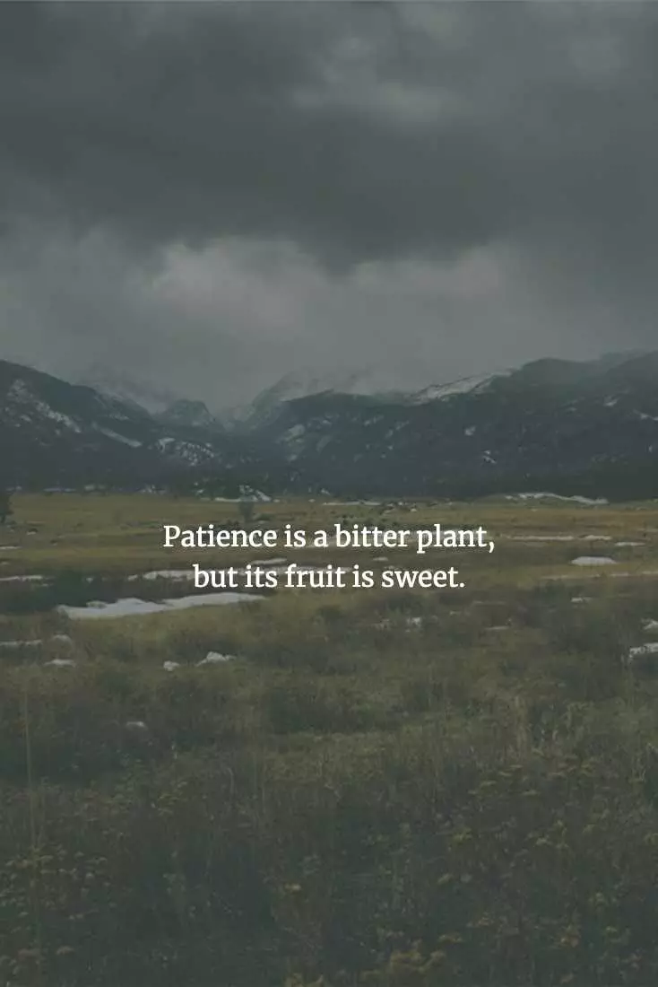 Chinese Proverbs  Patience May Be Hard To Exercise, But The Results Will Be Worth It