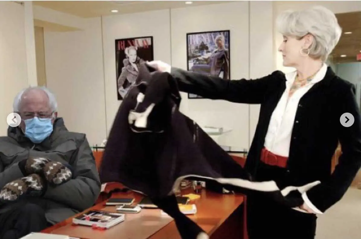 Cold-Bernie-Memes-2 Cold Bernie Memes Devil Wears Prada