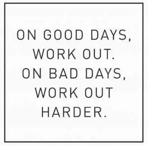 Fitness Goal Quotes  Good Days