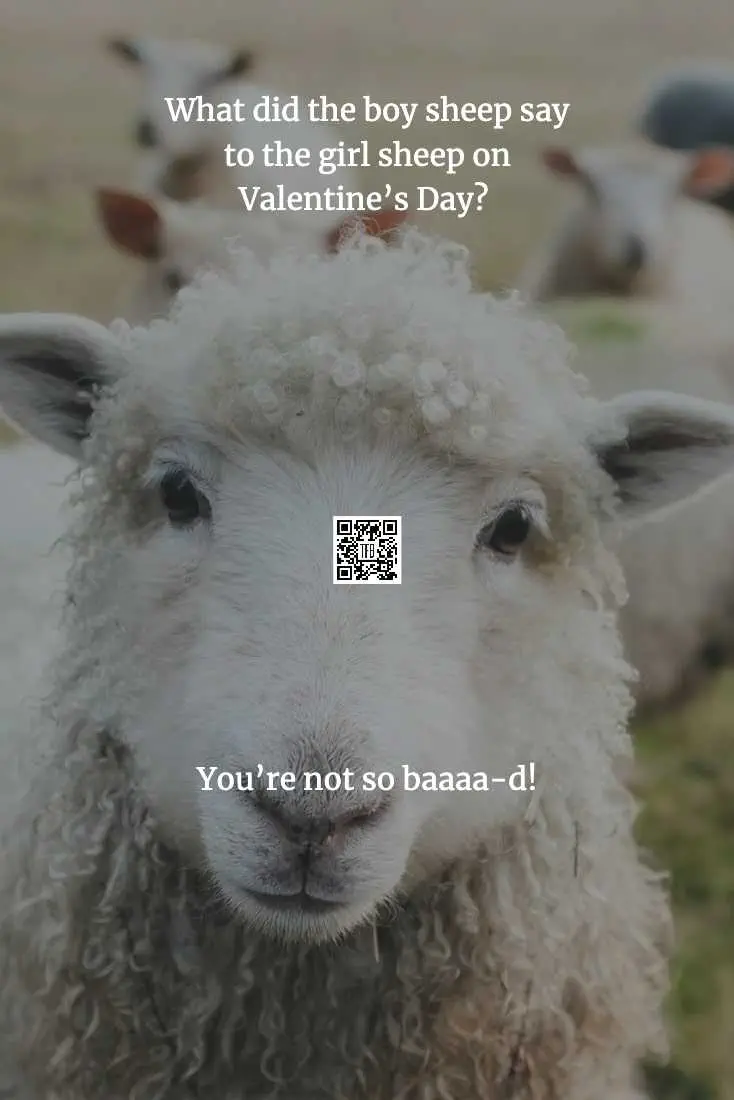 Funny-Jokes-Short-Stories-Tell-Your-Boyfriend-Valentines-Day-20 Funny Valentines Jokes Clean Baaaad Joke