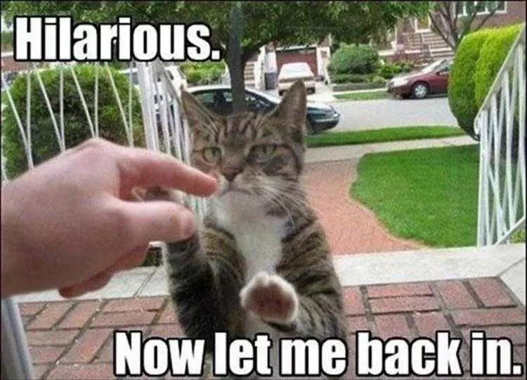Top 24 Funny Animal Memes Of The Day_600Ae862B5668.Jpeg Funny Pictures Of Animals Invisible Force Field