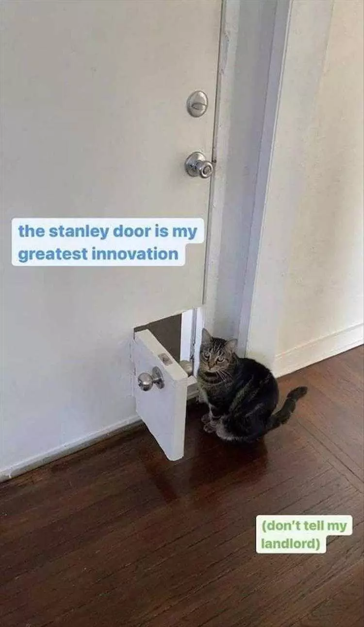 Comical Animal Pics  Stanley Door