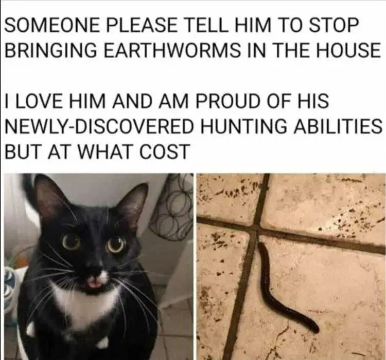 Comical Animal Pictures Earthworm Hunter