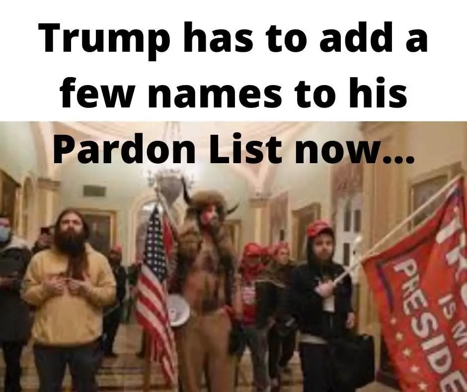 Trump Insurrection Memes  Pardon List Grows...