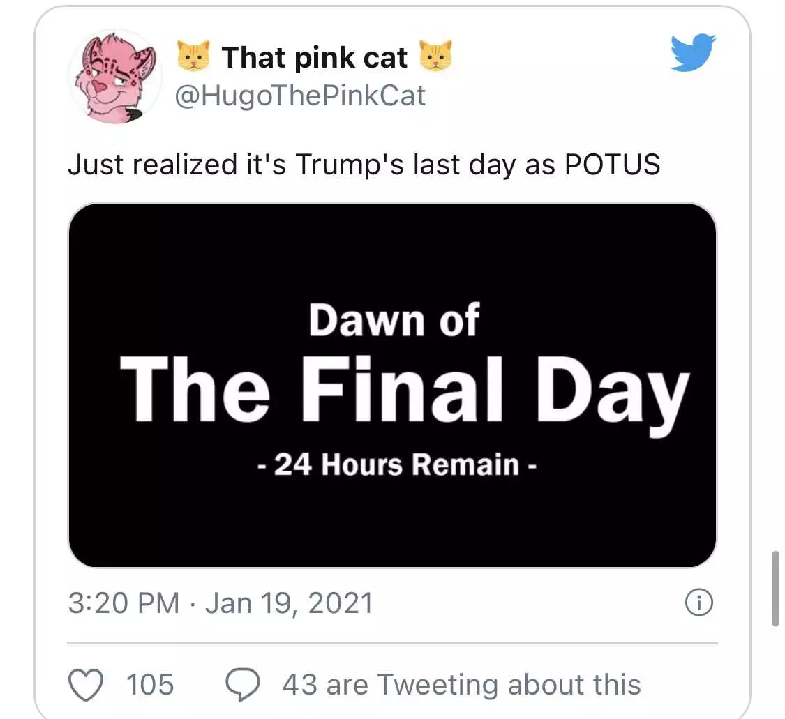 Trump Last Day Memes  Final Day