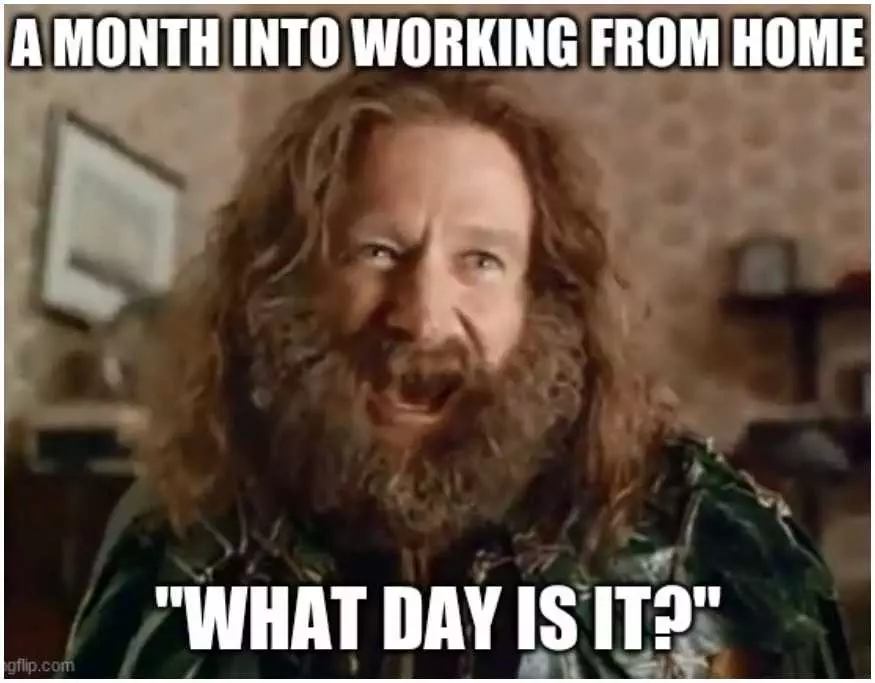 Work10 Hilarious Work From Home Memes Pic Who Is The President?