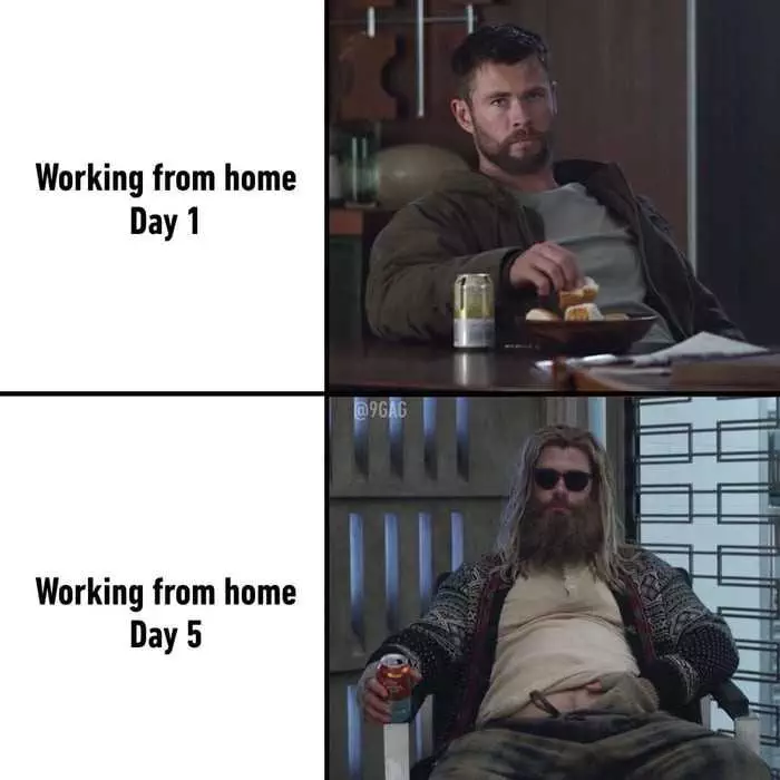 Hilarious Work From Home Memes  Didn'T Take Long