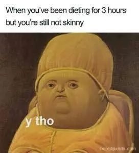 Hilarious Diet Memes  3 Hour Diet