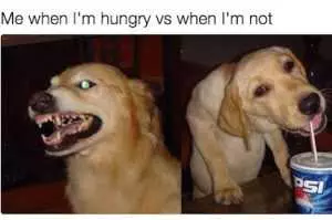 Relatable Hungry Memes  Hangry