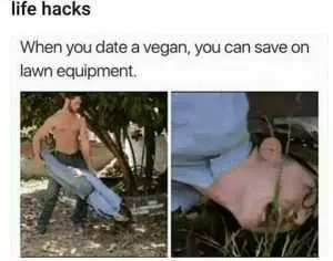 Life Hacks  Vegans Are Useful