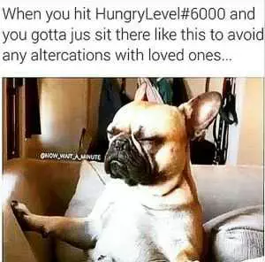 Relatable Hungry Memes  Staying Quiet