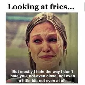 Hilarious Diet Memes  Fries
