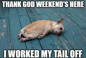 It'S The Weekend Memes  Worked Tail Off