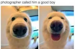 Good Boys