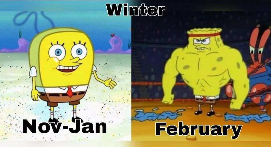 Texas Freeze Memes  Winter Gets Texas Sized In February