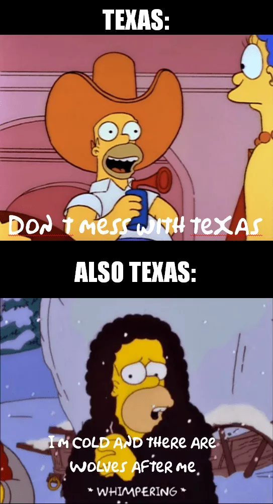 Texas Freeze Memes  Texas Draws The Line At Cold.