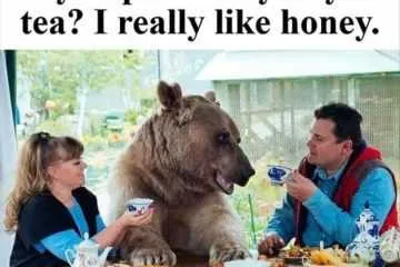 Unbearably Cool Breakfast Conversations.