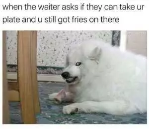 Relatable Hungry Memes  If Looks Could Kill