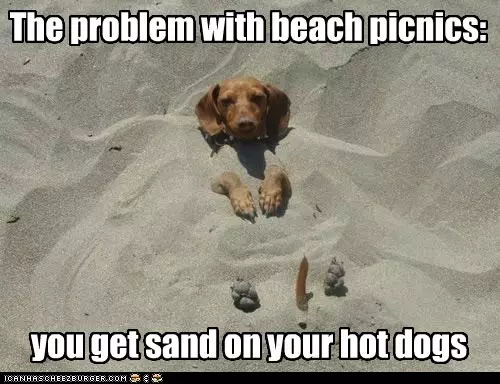 Beach Memes  Sandy Wiener