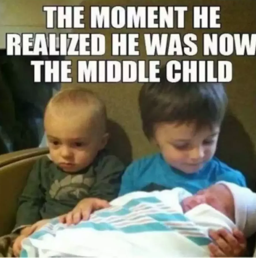 Middle-Child-Meme-New-Baby Funniest Middle Child Memes