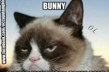 Funny Easter Cat Memes