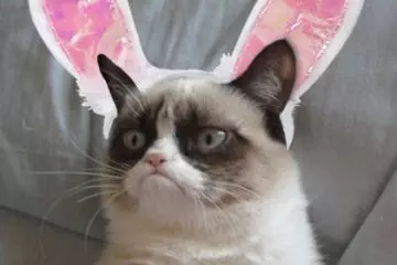 Funny Happy Easter Memes