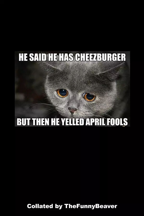 Funny April Fools Memes 50