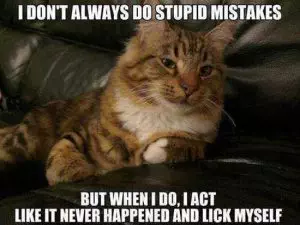 Funny Easter Cat Memes