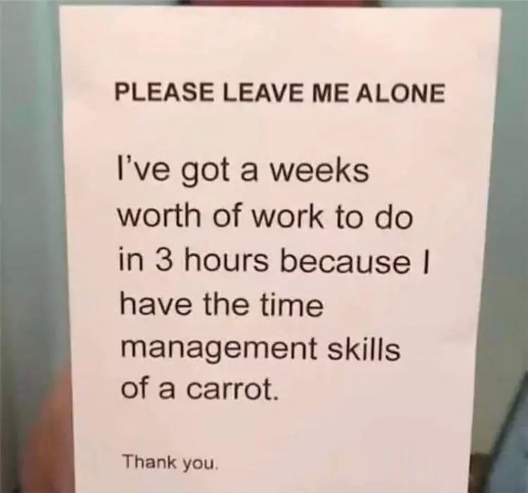 Hilarious Memes About Life  Do Not Insult Carrots