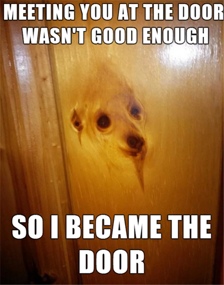 Hilarious Animal Pics With Caption  Melted Into Door