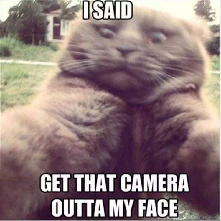 Funny Animal Images With Sayings