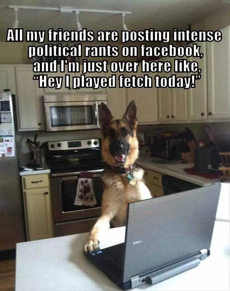 Funny Animal Images With Quotes