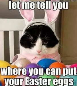 Funny Dirty Easter Memes