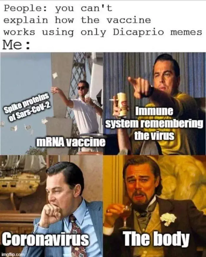 Covid Vaccine Memes Pics