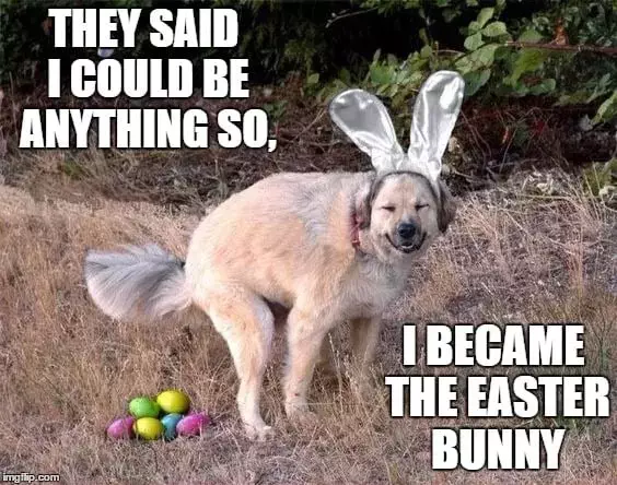 Easter Memes Clean